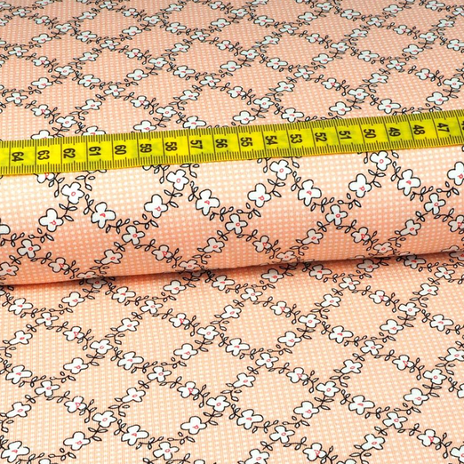 Viskose Jersey Blumenrauten Apricot