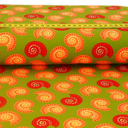 Jersey Schneckenhäuser auf Kiwi Jersey Schneckenhäuser auf Kiwi