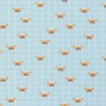 Jersey Krebse & Quadrate auf Aqua