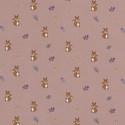 Jersey Süßes Eichhörnchen auf Altrosa