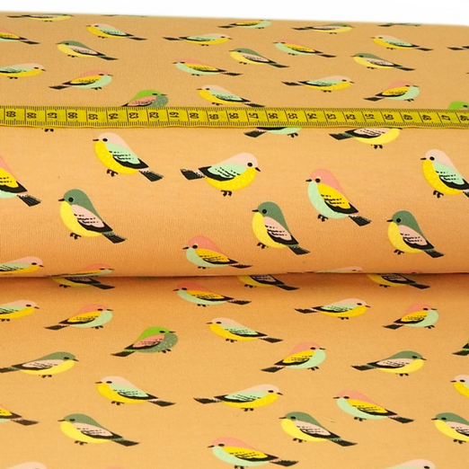 Jersey Meisen auf Apricot