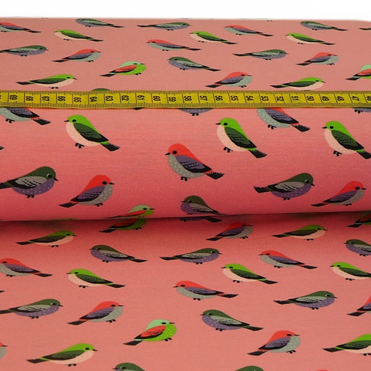 Jersey Meisen auf Rosa