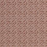 Jersey Miniblümchen auf Terracotta