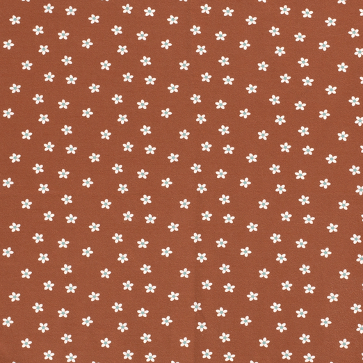 Jersey Kleines Gänseblümchen auf Blutorange