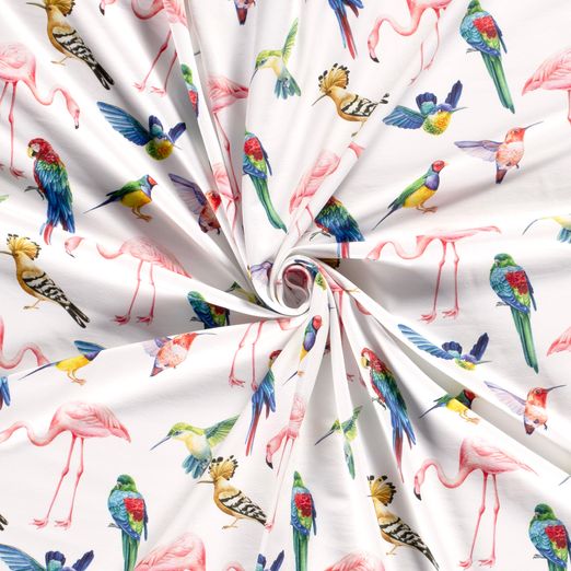 Jersey Vogelarten auf Weiß Digital