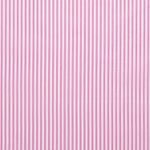 Coton Rayures Standard Rose