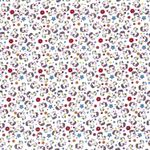 Coton Licorne Arc-en-ciel sur Blanc