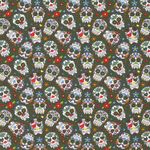 Jersey Crânes Colorés sur Kaki