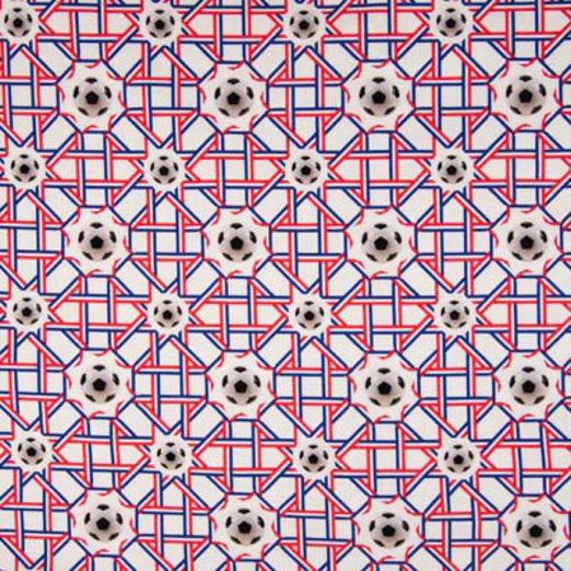 Jersey Fußbälle im Netz Digital