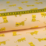 Jersey Little Lion Apricot