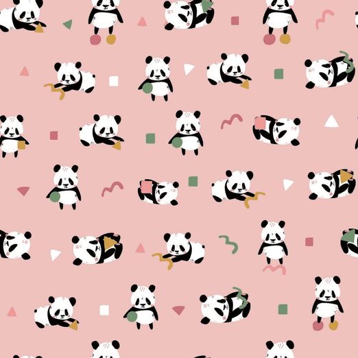 Jersey Playing Panda Apricot BIO