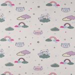 Jersey Waschbär in den Wolken Dunkelmint/Pink auf Creme