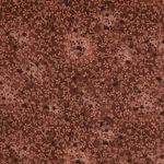 Baumwolle Little Butterflies & Starflowers Braun