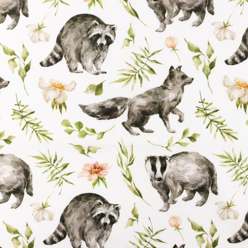 Baumwolle Waschbären und Blätter auf Weiß Digital