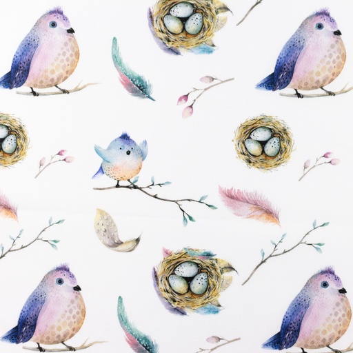 Baumwolle Federn & Vogelnest auf Weiß Digital Baumwolle Federn & Vogelnest auf Weiß Digital