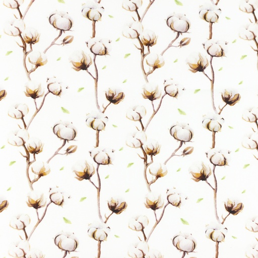 Baumwolle Baumwollpflanzen und Kleine Blätter auf Weiß Digital