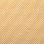 Baumwolle Darling Mini Totenköpfe Sand