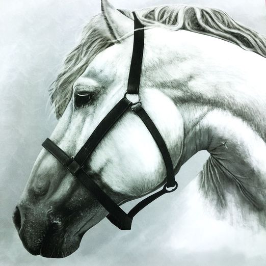 Kunstleder - Panel Pferd Grau