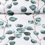 Beschichteter Canvas - Eukalyptus Weiß