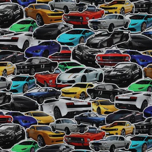 Jersey Digitaldruck Fast Cars Mehrfarbig