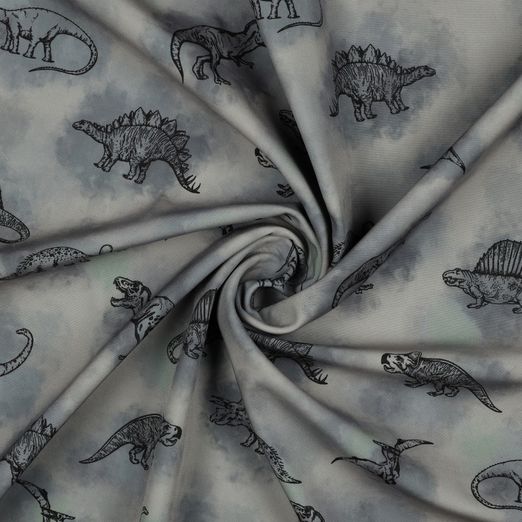 Softshell Digital Dinosaurier Grau