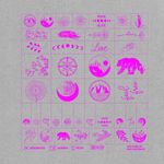 40 étiquettes en SnapPap Gris/Rose fluo - Images Bohème-1