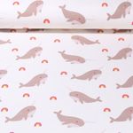 Jersey - Einhornwale Regenbögen Bunt Ecru