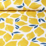 Organic Canvas - Hamburger Liebe Digitaalinen tuloste Al Lago Limone Keltainen