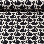 Sommersweat - French Terry Katzen Ecru Angeraut