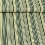 Baumwoll-Popeline - Streifenmix Grün