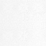 Tejido de encaje - blanco liso