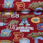 Sommersweat - French Terry College Rot Angeraut