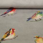 Tissu d'extérieur Hugo & Hilda - Oiseaux Gris