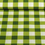 Beschichtete Baumwolle - Karo Grün