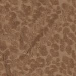 Jersey éponge - Léo brun