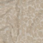 Jersey éponge - Léo sable