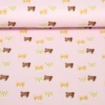 Jersey - Bärengesichter Rosa