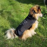 Allwettermantel für Hunde - Papierschnittmuster-1