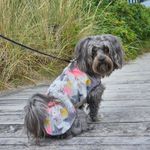 Allwettermantel für Hunde - Papierschnittmuster-3