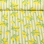 Coton - Rayures Citrons Vert clair