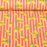 Coton - Rayures Citrons Orange