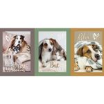 Canvas Panel - Hunde und Katzen Multicolor