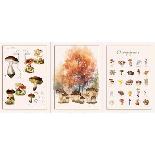 Canvas Panel - Pilze Multicolor