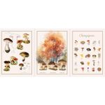 Canvas Panel - Pilze Multicolor