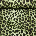 Sweat - French Terry Digitaldruck Leo Grün Angeraut