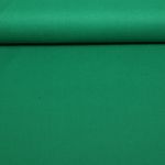 Leichter Canvas Andi - Uni Grün