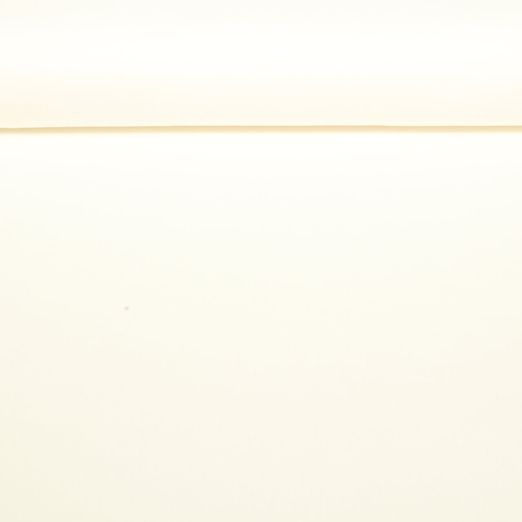 Bio Baumwolljersey - Uni Ecru 