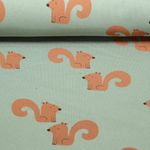 Jogging - Eichhörnchen Altgrün Angeraut