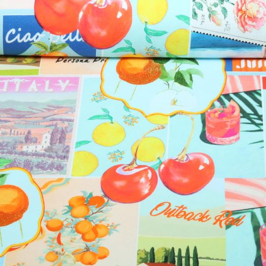 Sommersweat - French Terry Digitaldruck Südfrüchte Multicolor