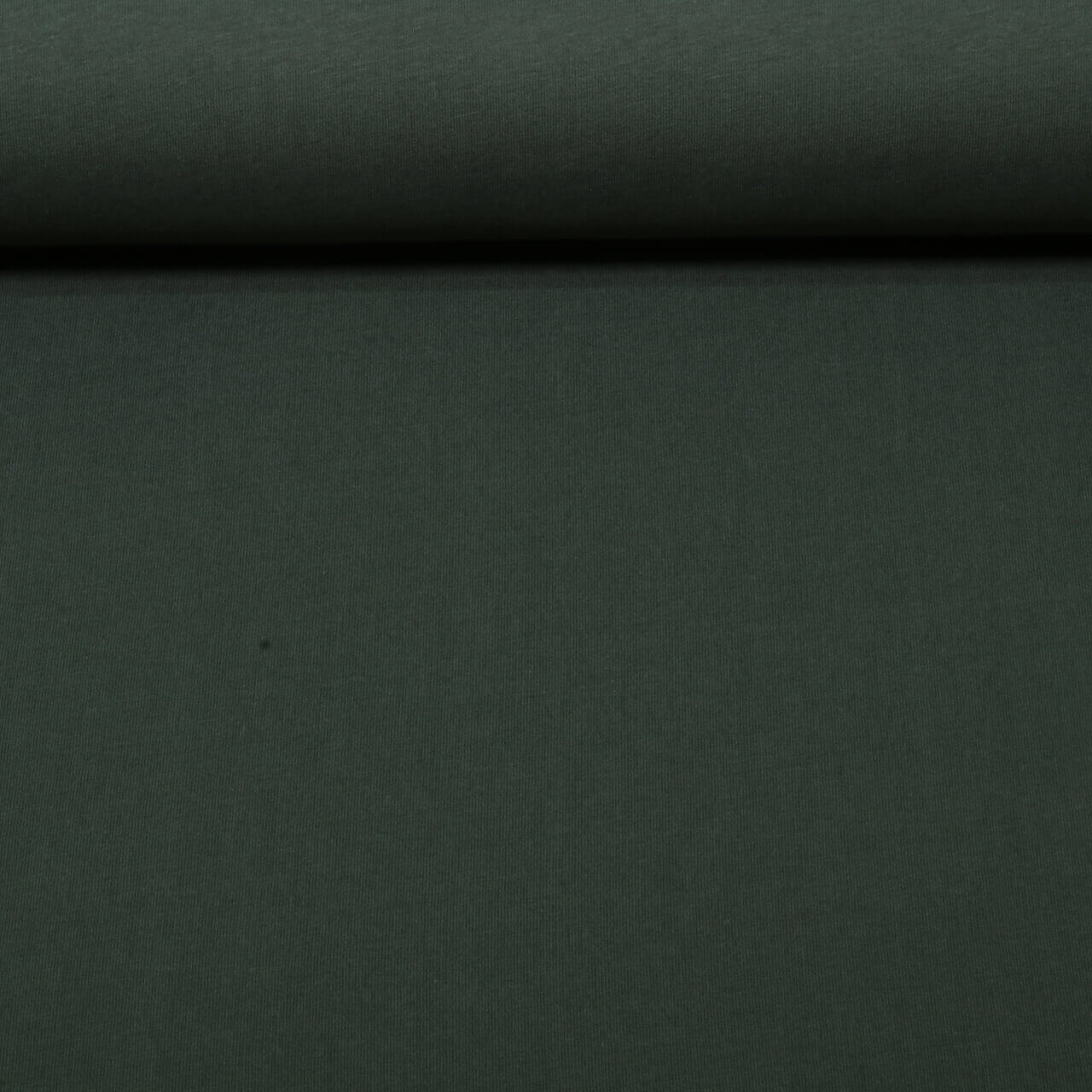 Bio Jersey - Uni Jägergrün 089-0 Bio Jersey - Uni Jägergrün 089-0